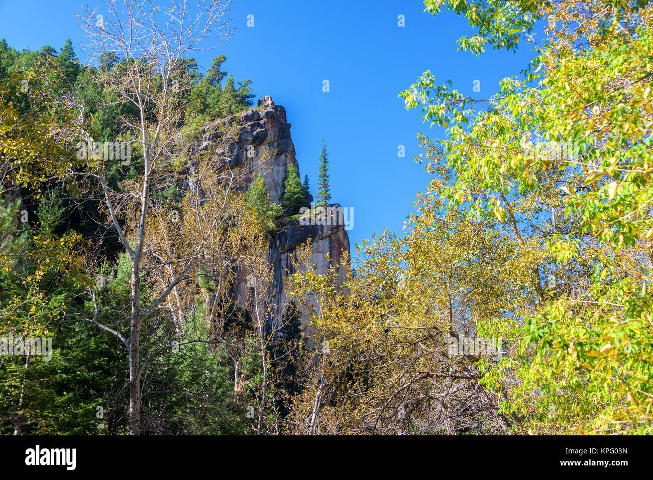 South Piney Canyon Stock Photo - Alamy