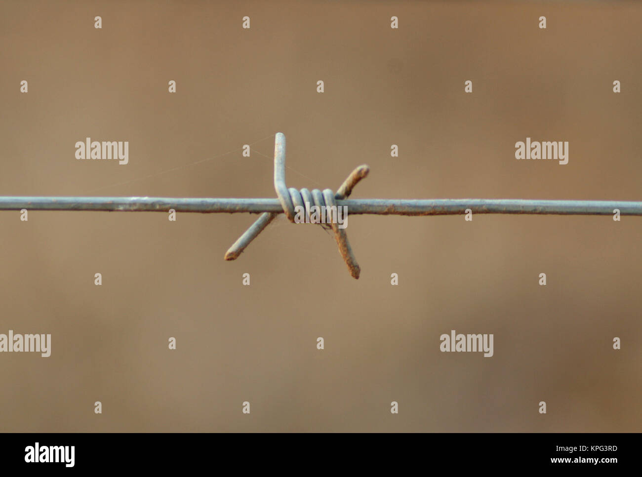 Single strand best sale barbed wire