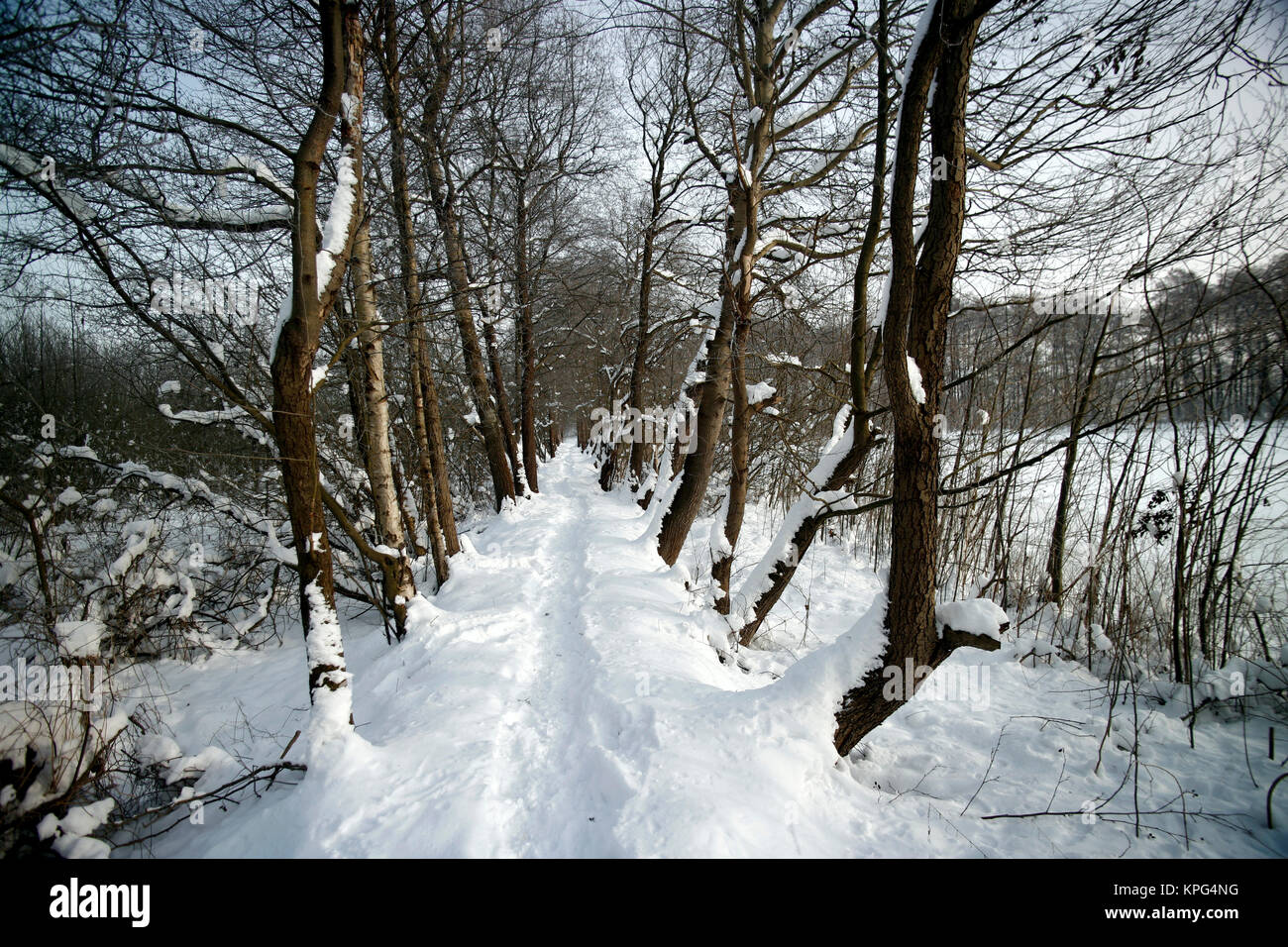 path through the fish ponds Stock Photo