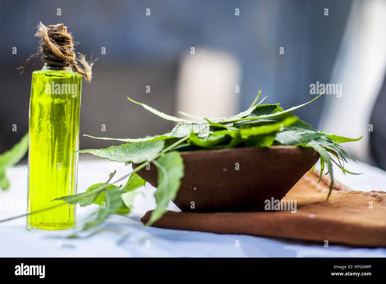 Azadirachta indica,Neem with its leaves and oil in a bottle  in a clay bowl for skin care.; Stock Photo