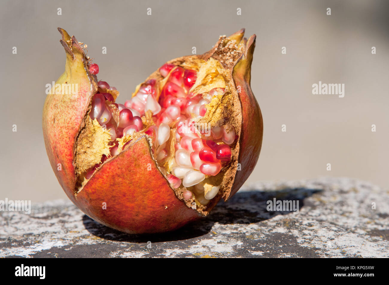 Homogeneous hi-res stock photography and images - Alamy