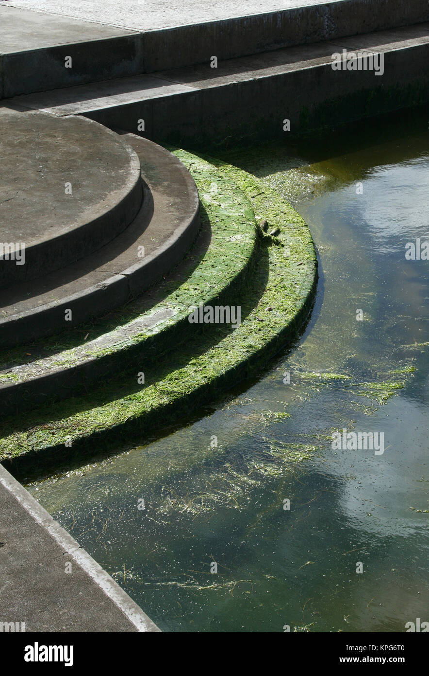 Closeup of algae on the steps of the tidal pool at Gonubie, East