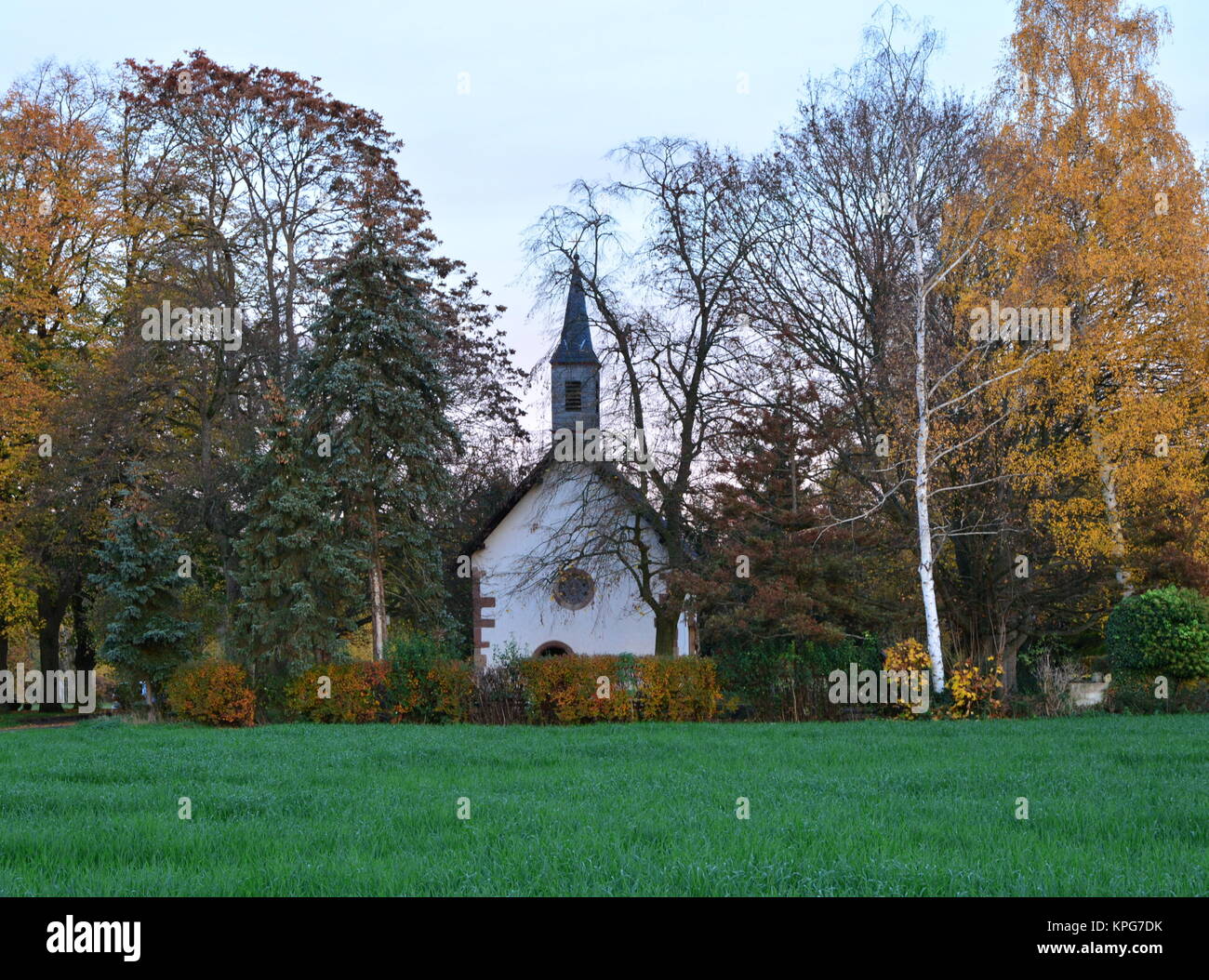 Sandoats at the Schweinheimer Kirchel in Jockgrim Stock Photo