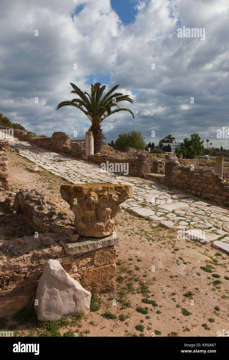 Tunisia, Tunis, Carthage, ruins of Romanera Villas Stock Photo Alamy