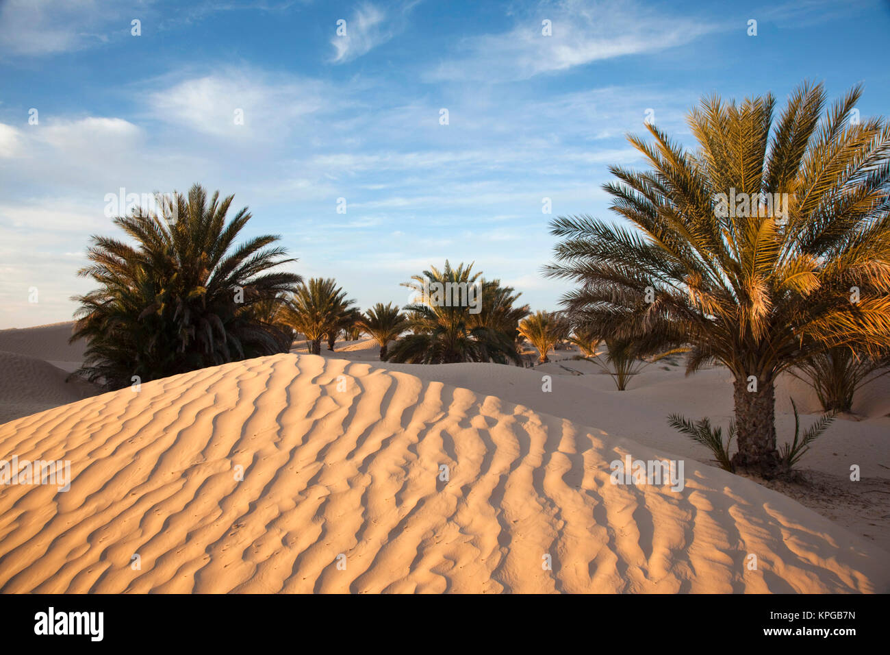 Tunisia Sahara Desert Rippled Sand Hi res Stock Photography And Images 