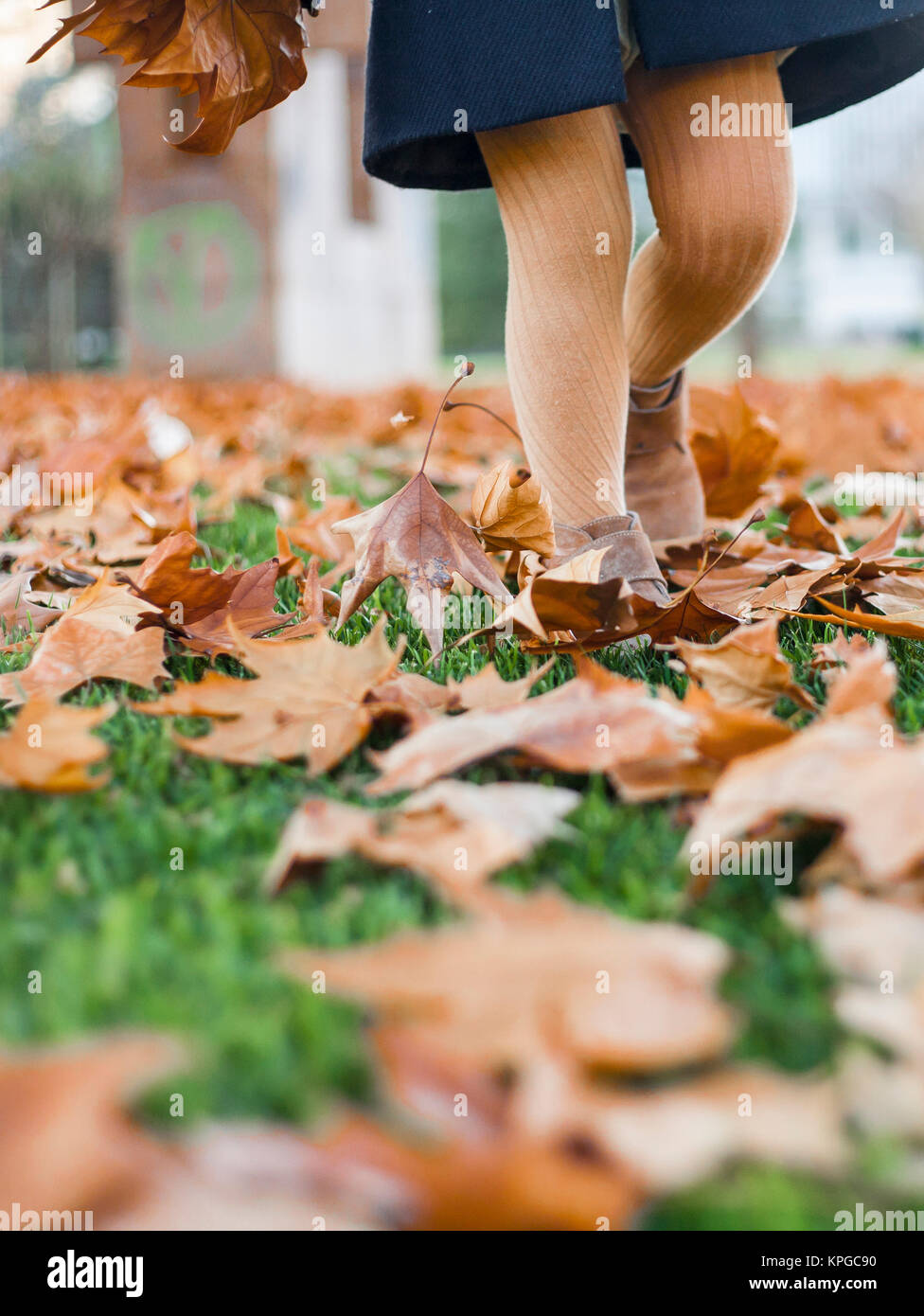 appy little girl playing with autumn leaves in the park Stock Photo - Alamy