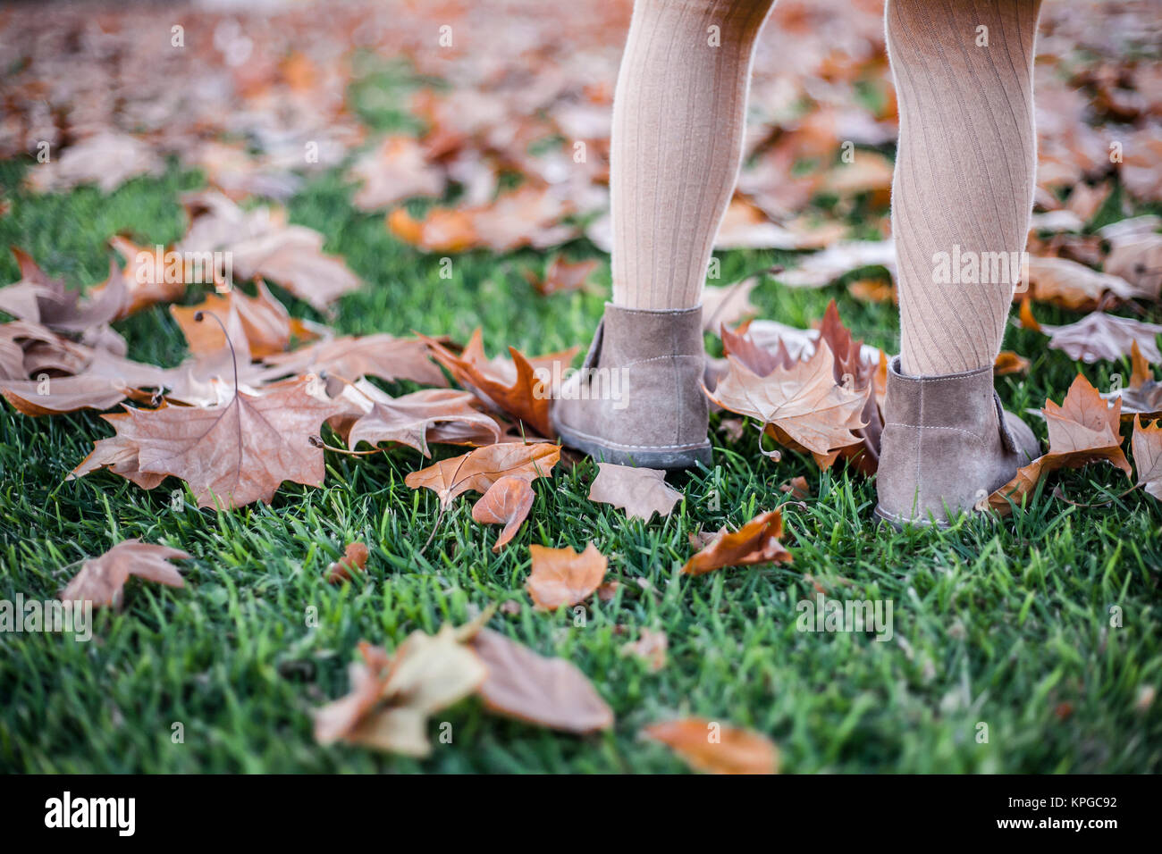appy little girl playing with autumn leaves in the park Stock Photo - Alamy