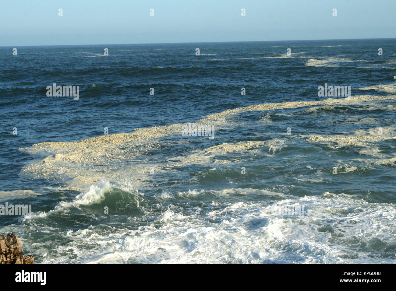 Sea foam at Splash Rock, Hermanus, South Africa Stock Photo