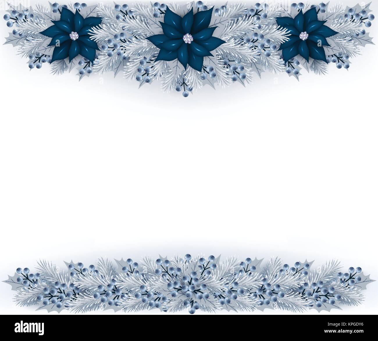 Christmas garland with silver color fir branches, blueberries and blue  poinsettia. Vector illustration Stock Vector Image & Art - Alamy