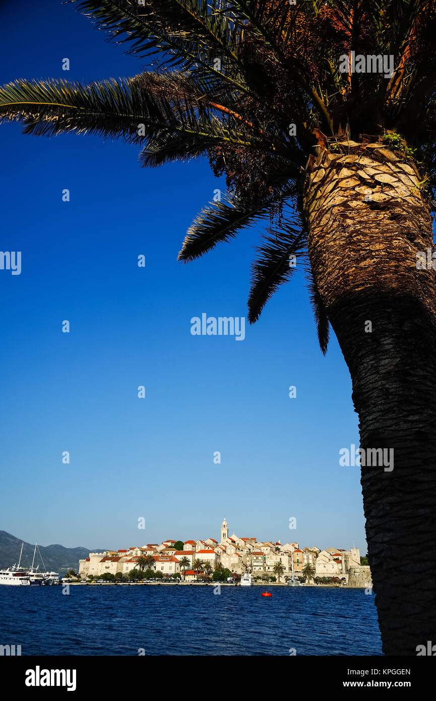 korcula town with palm Stock Photo