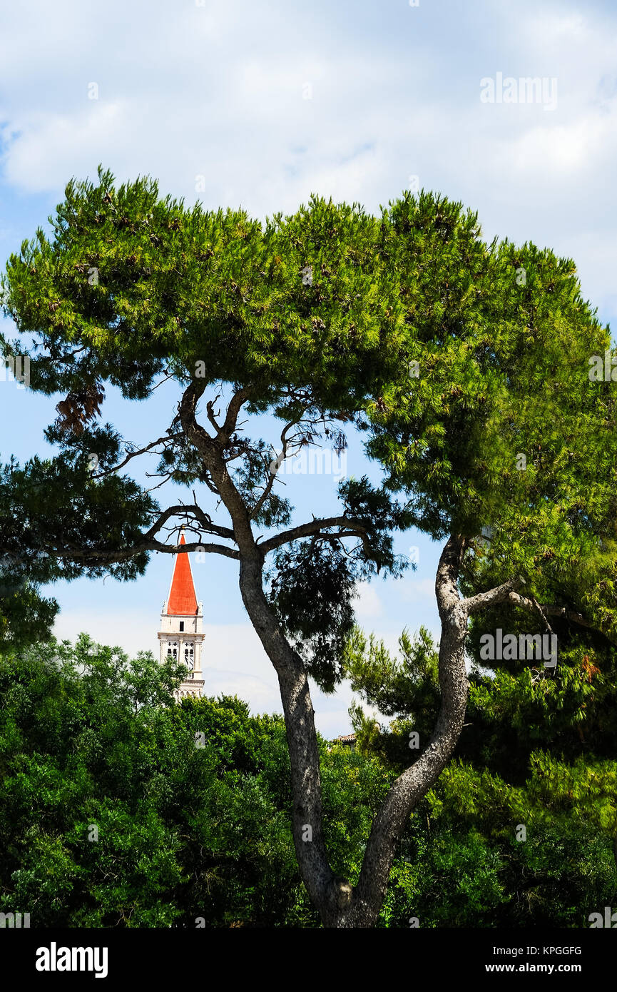 Church in Trogir between trees Stock Photo