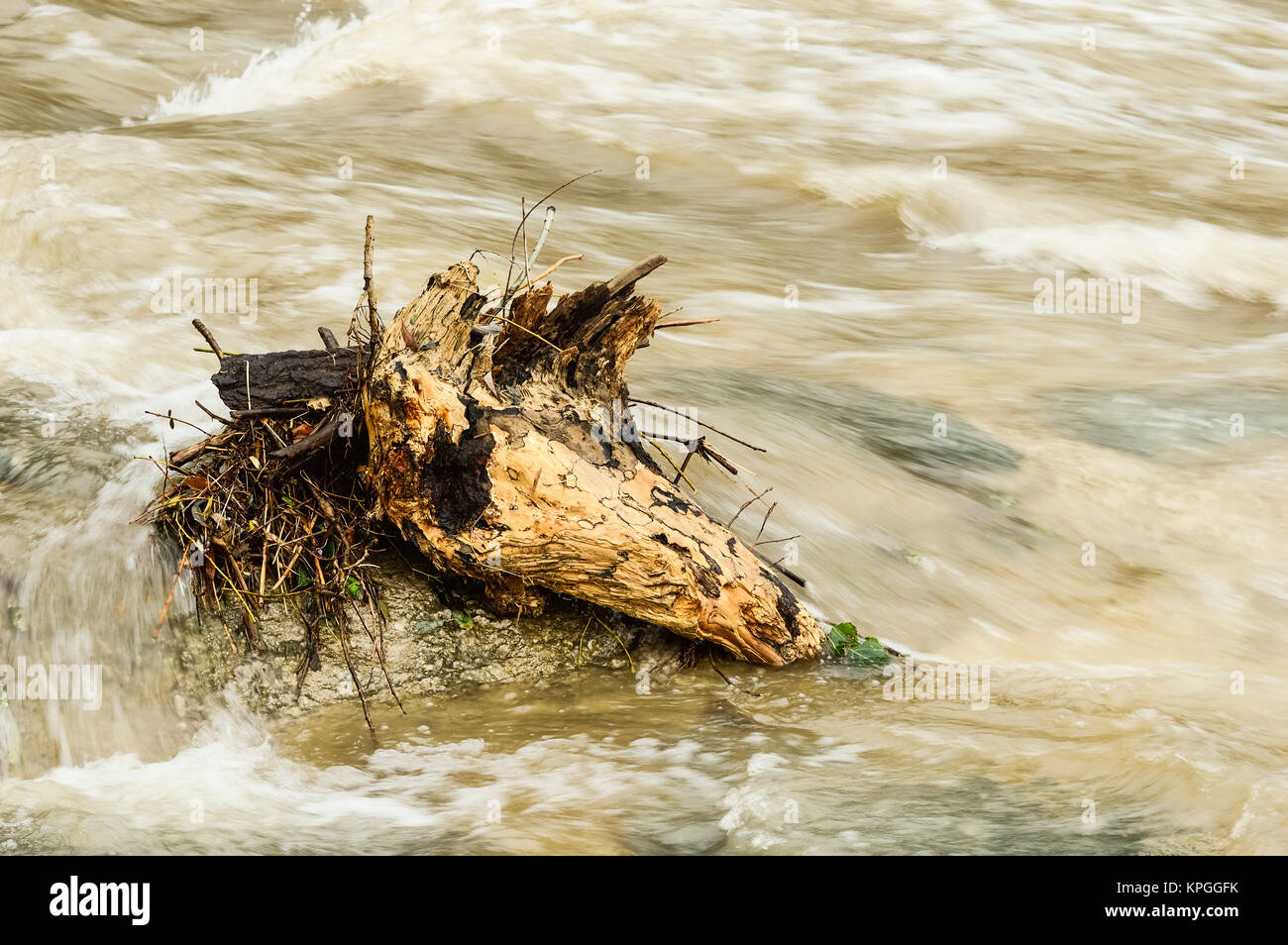 driftwood in raging river Stock Photo