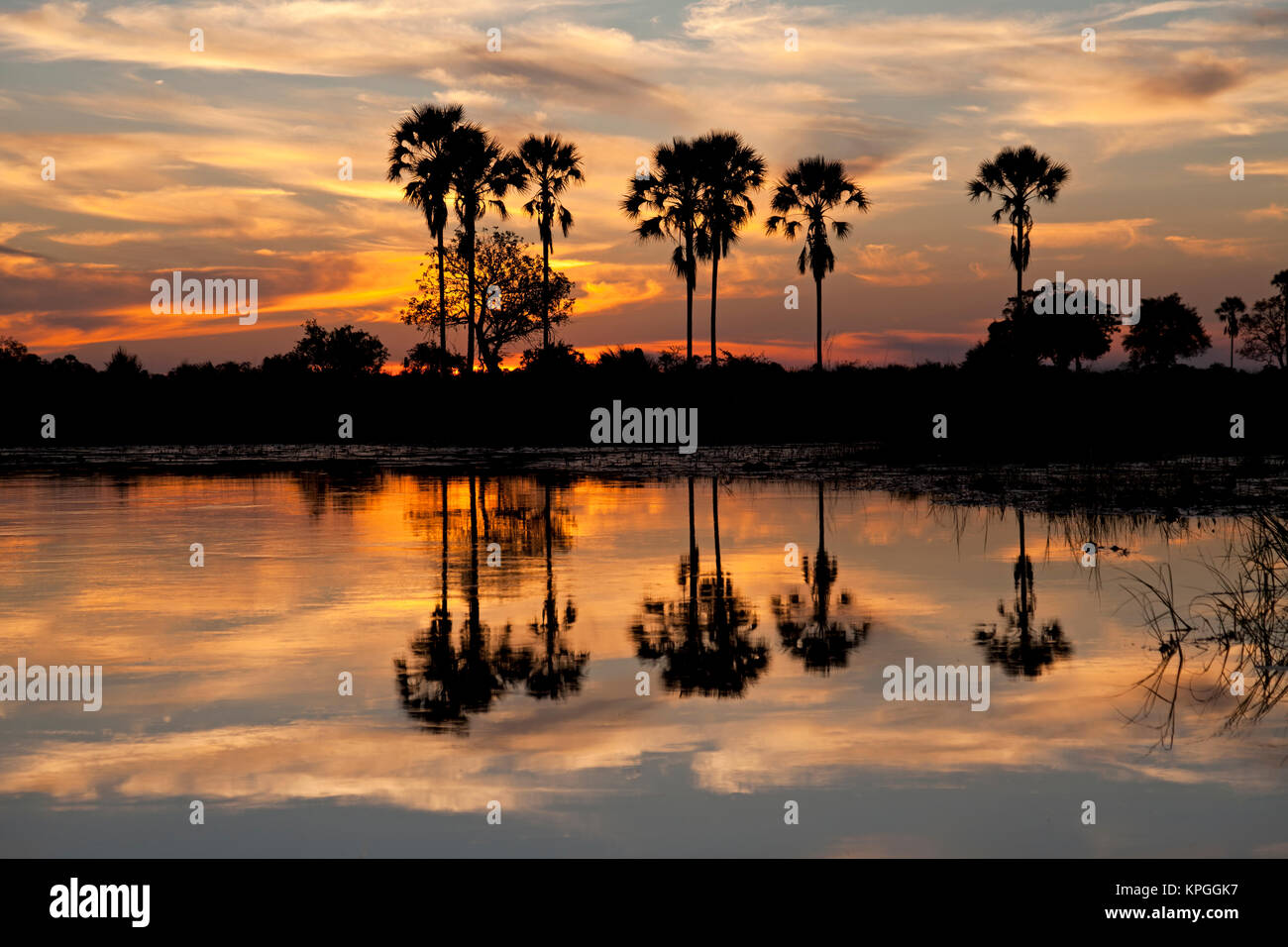 Sonnenuntergang über dem Okavango Delta in Botswana Stock Photo