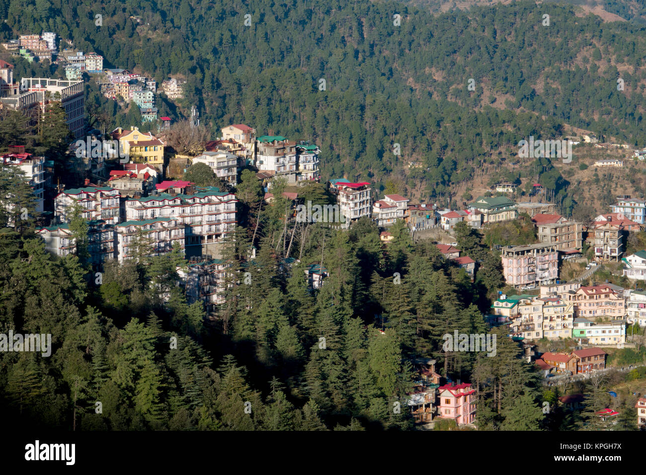 Apartment buildings and houses on side of mountain in Shimla, India