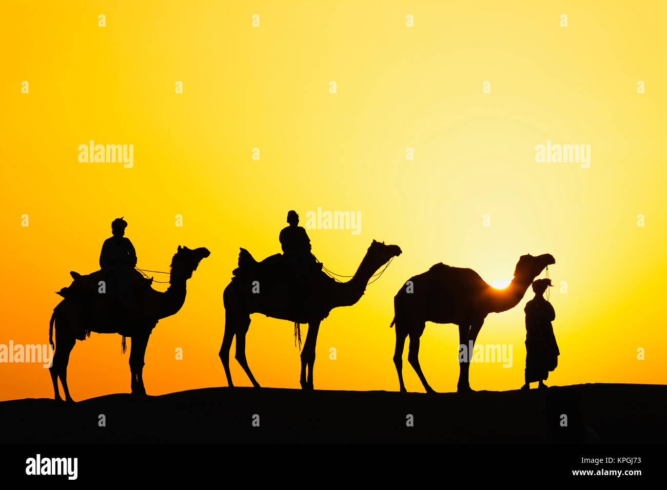 Camels and camel driver silhouetted at sunset, Thar Desert, Udaipur, India. Stock Photo