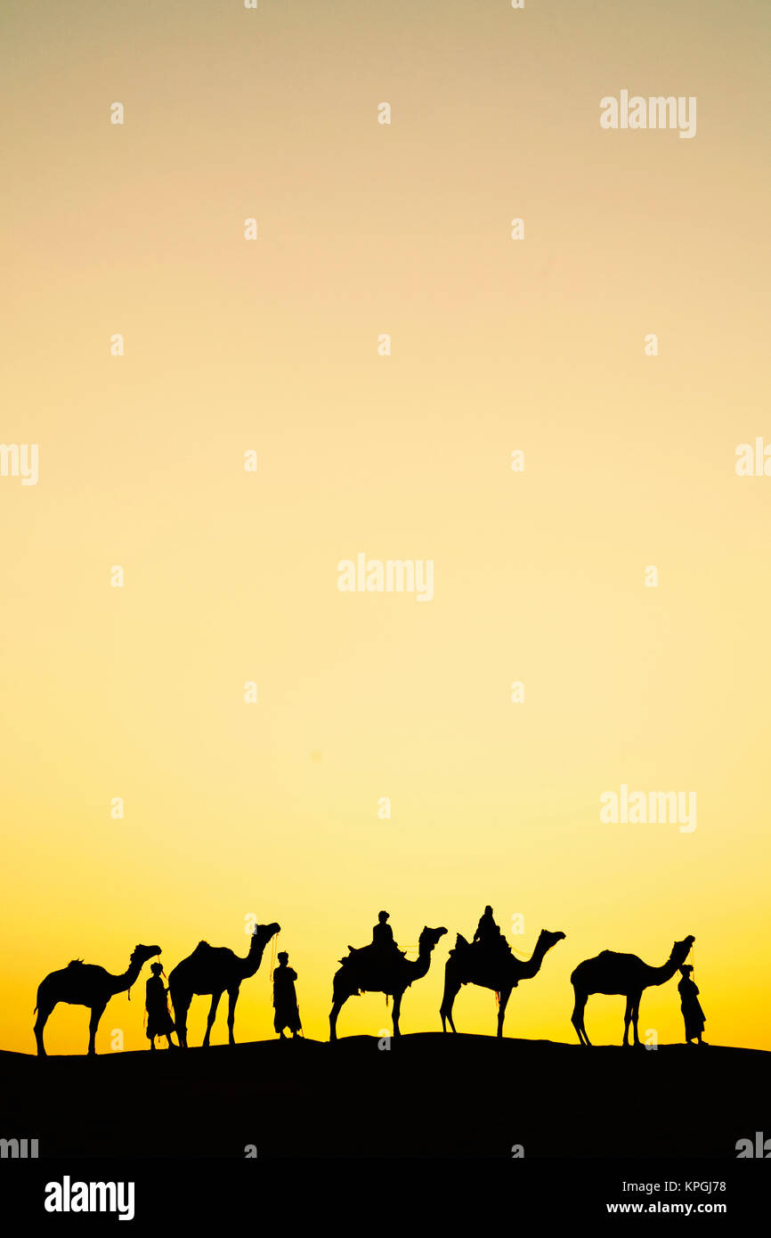 Camels and camel driver silhouetted at sunset, Thar Desert, Udaipur, India. Stock Photo