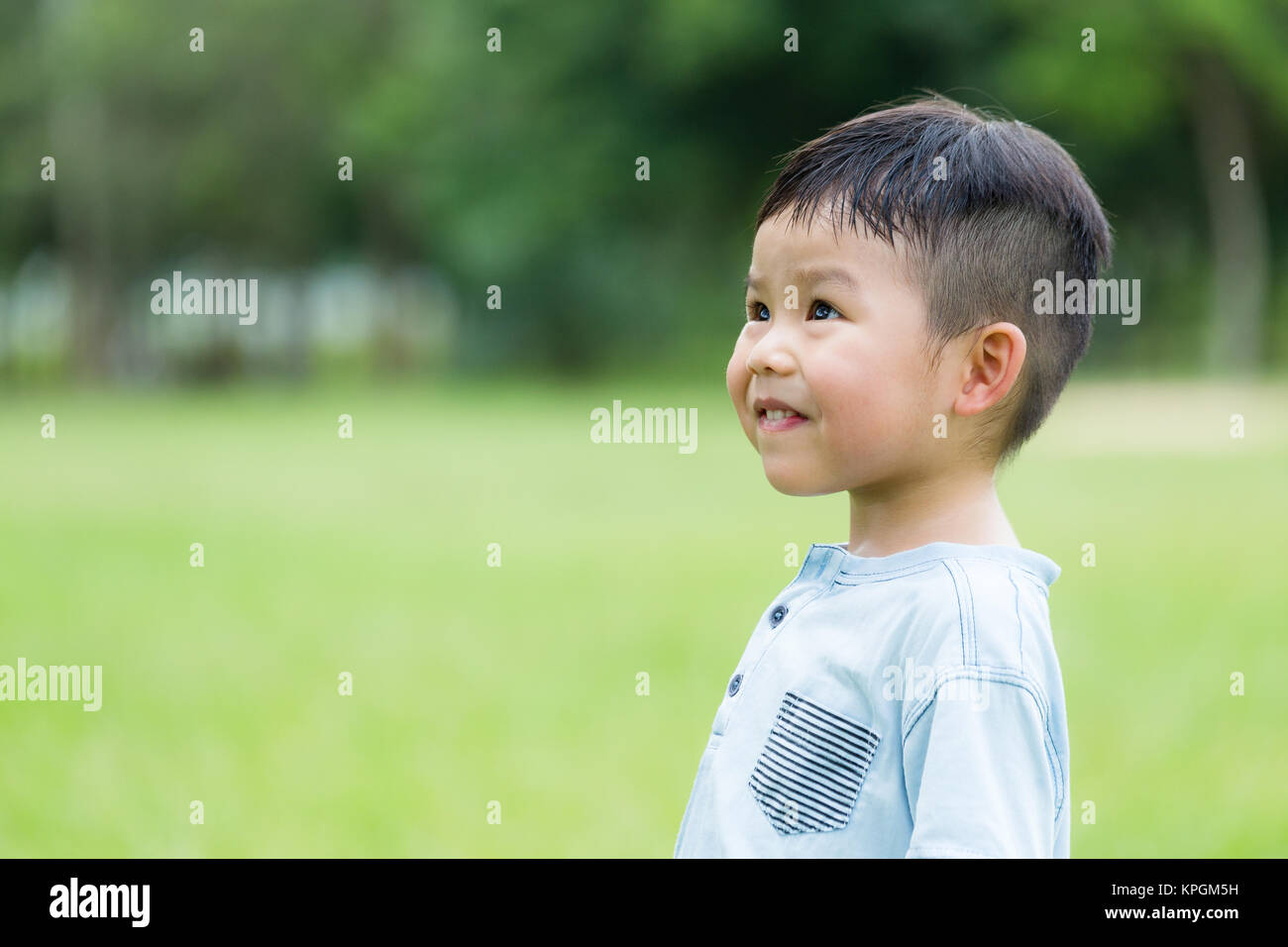 Japanese meadow sweet hi-res stock photography and images - Alamy