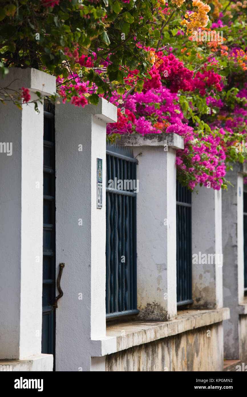 France, Reunion Island, StDenis, fence with bougainvilla flowers, Rue