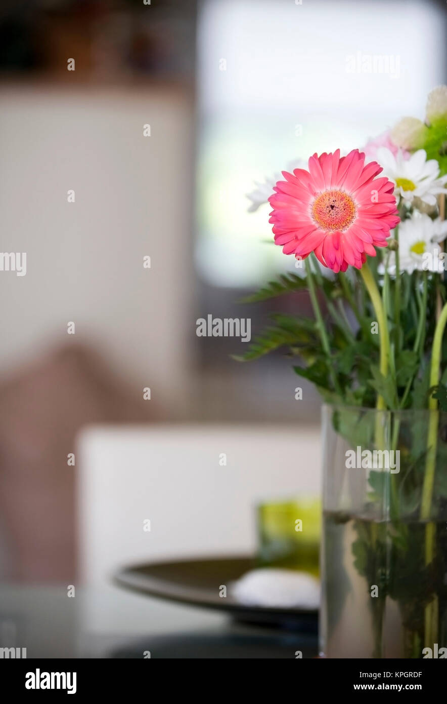Blumenvase mit Gerbera im Wohnraum - flower vase with gerbera in living room Stock Photo