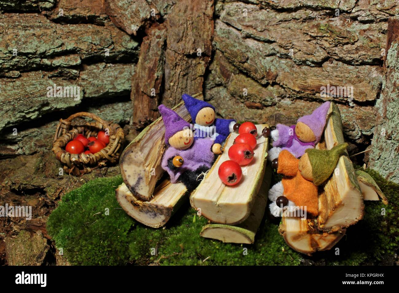 Four little gnomes eat red berries in their wichtelhÃ¶hle Stock Photo