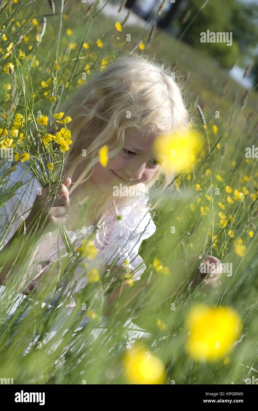 M?dchen, 7, in Fruehlingsblumenwiese - girl in spring meadow Stock Photo