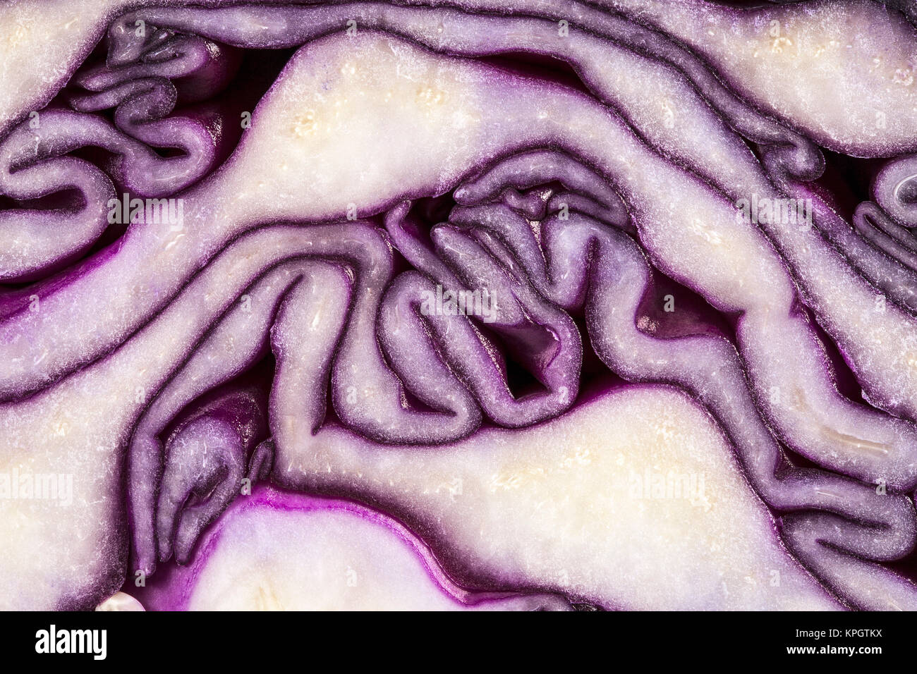 background of cut red cabbage, abstraction Stock Photo - Alamy
