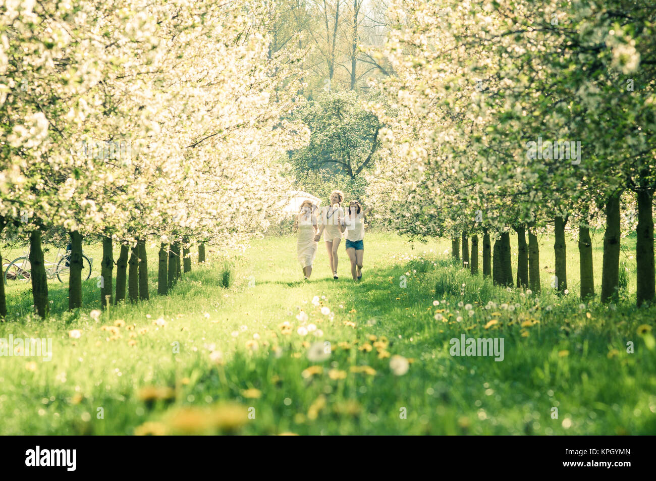 young women in cherry garden Stock Photo - Alamy