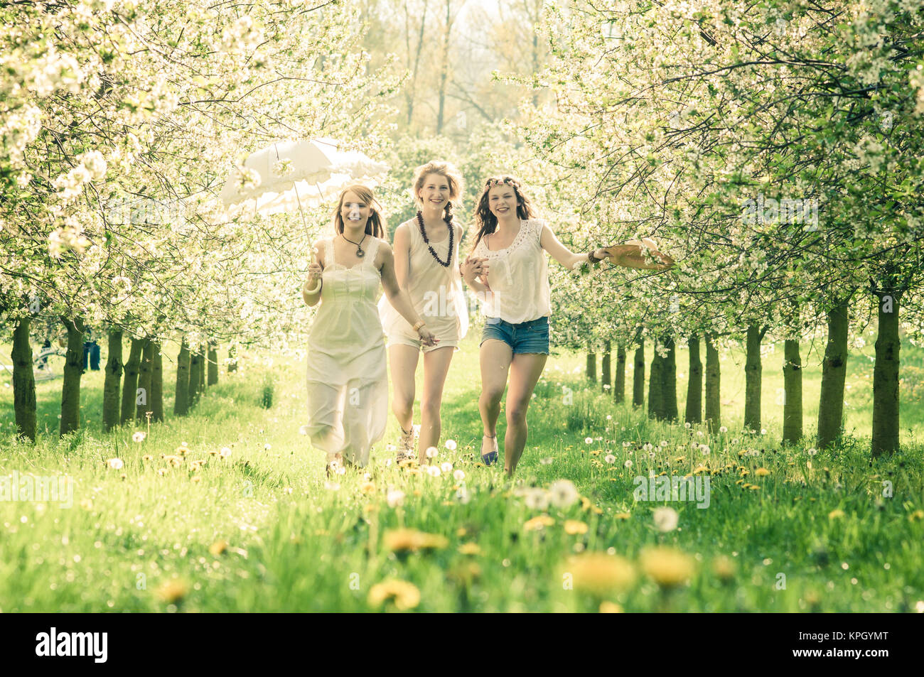 young women in cherry garden Stock Photo - Alamy