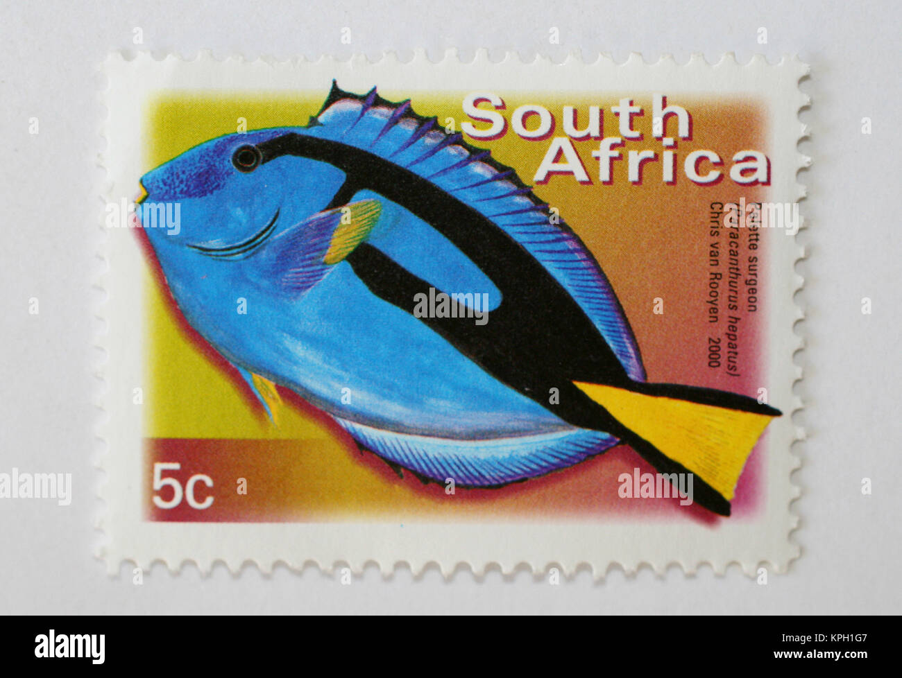 South African postage stamp, Threadfin butterflyfish, 5 cents value