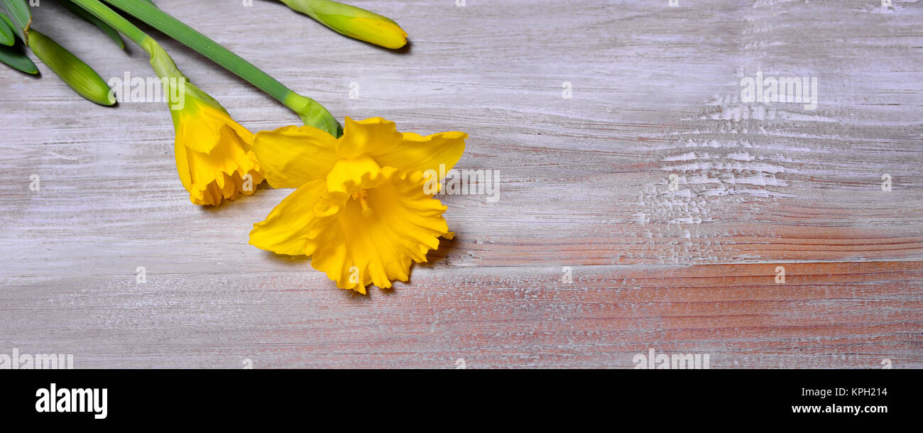 easter background easter bells Stock Photo - Alamy