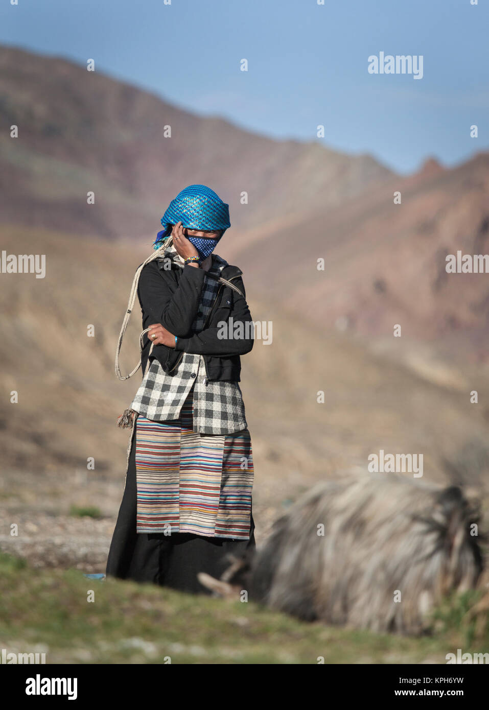 Tibetan shepherdess with slingshot and goat. She wears the horizontally striped apron of a married woman. Stock Photo
