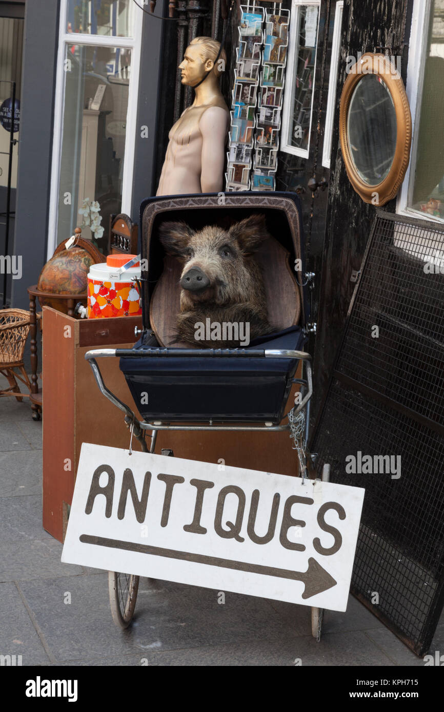 A boar's head amongst items for sale outside an antique shop on the Royal Mile in Edinburgh's Old town Stock Photo