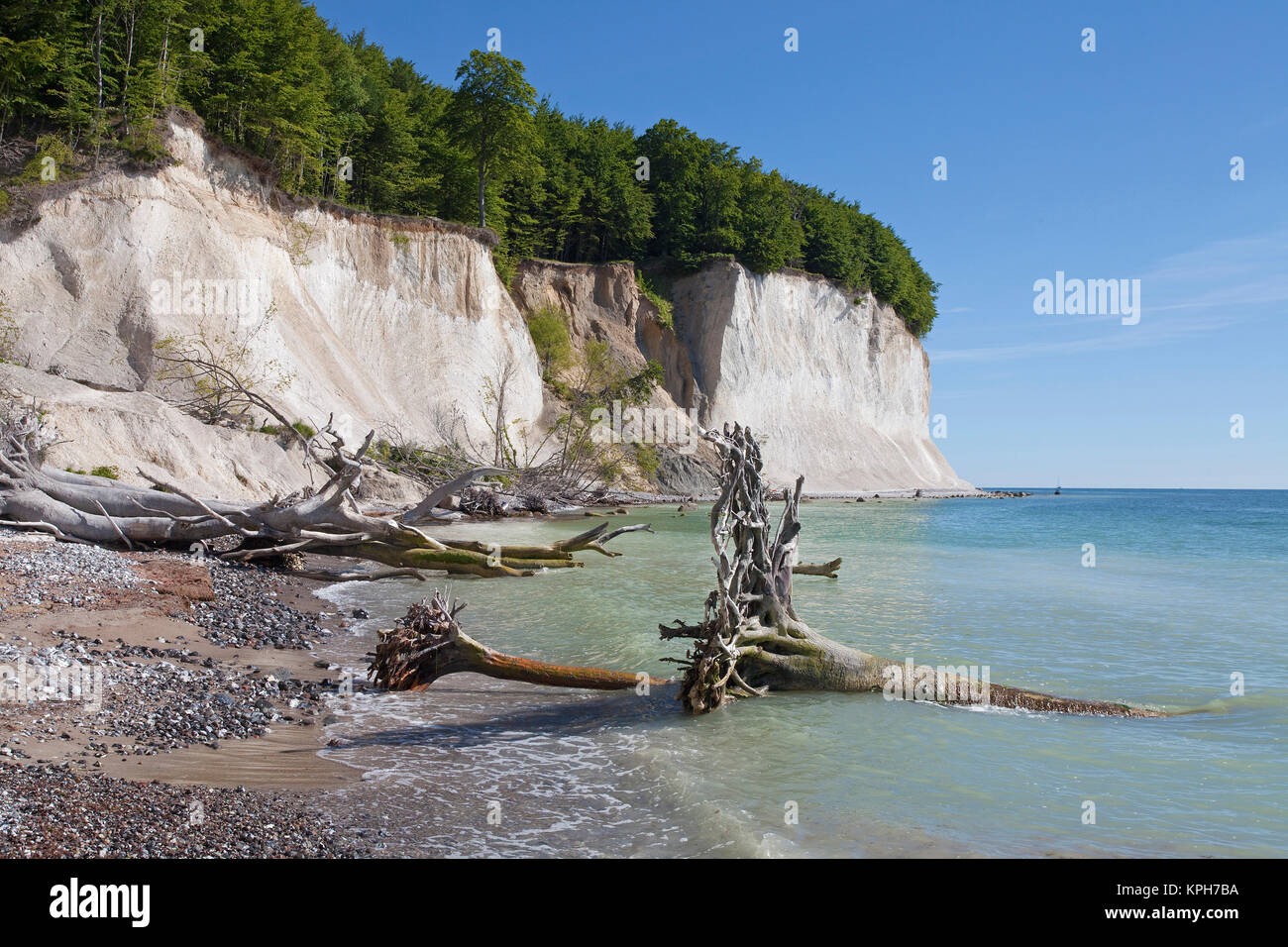 Chalk cliff and beach at Jasmund National park, Ruegen island, Mecklenburg-Western Pomerania, Baltic Sea, Germany, Europe Stock Photo