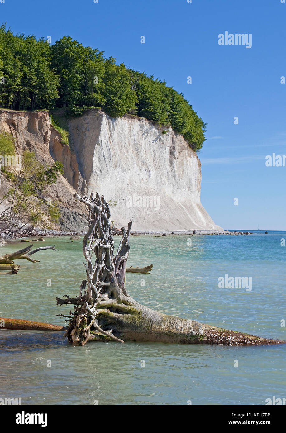 Chalk cliff and beach at Jasmund National park, Ruegen island, Mecklenburg-Western Pomerania, Baltic Sea, Germany, Europe Stock Photo