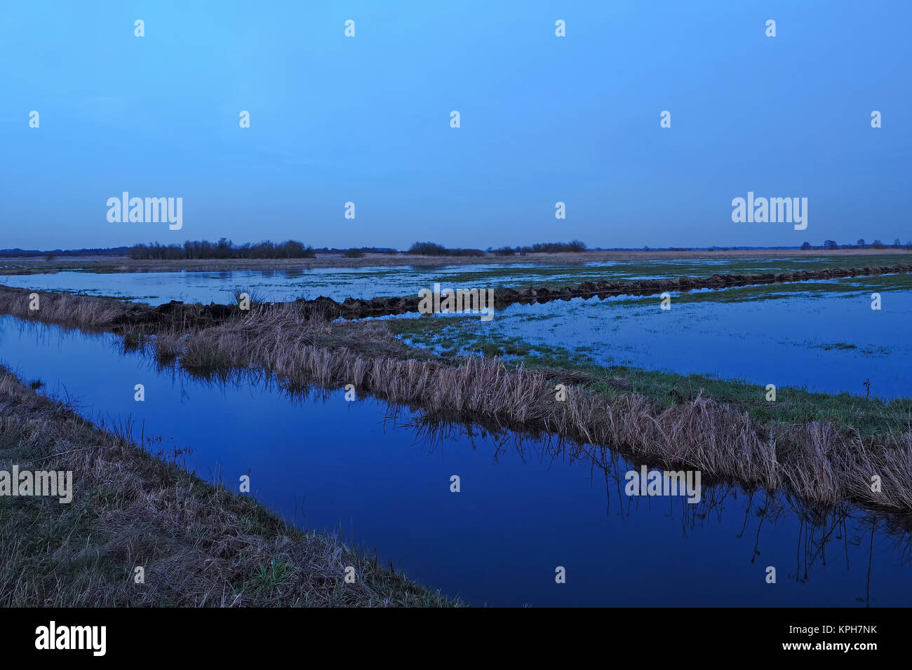 Flooded meadows at swamp Teufelsmoor in Germany near artist village Worpswede at blue hour Stock Photo