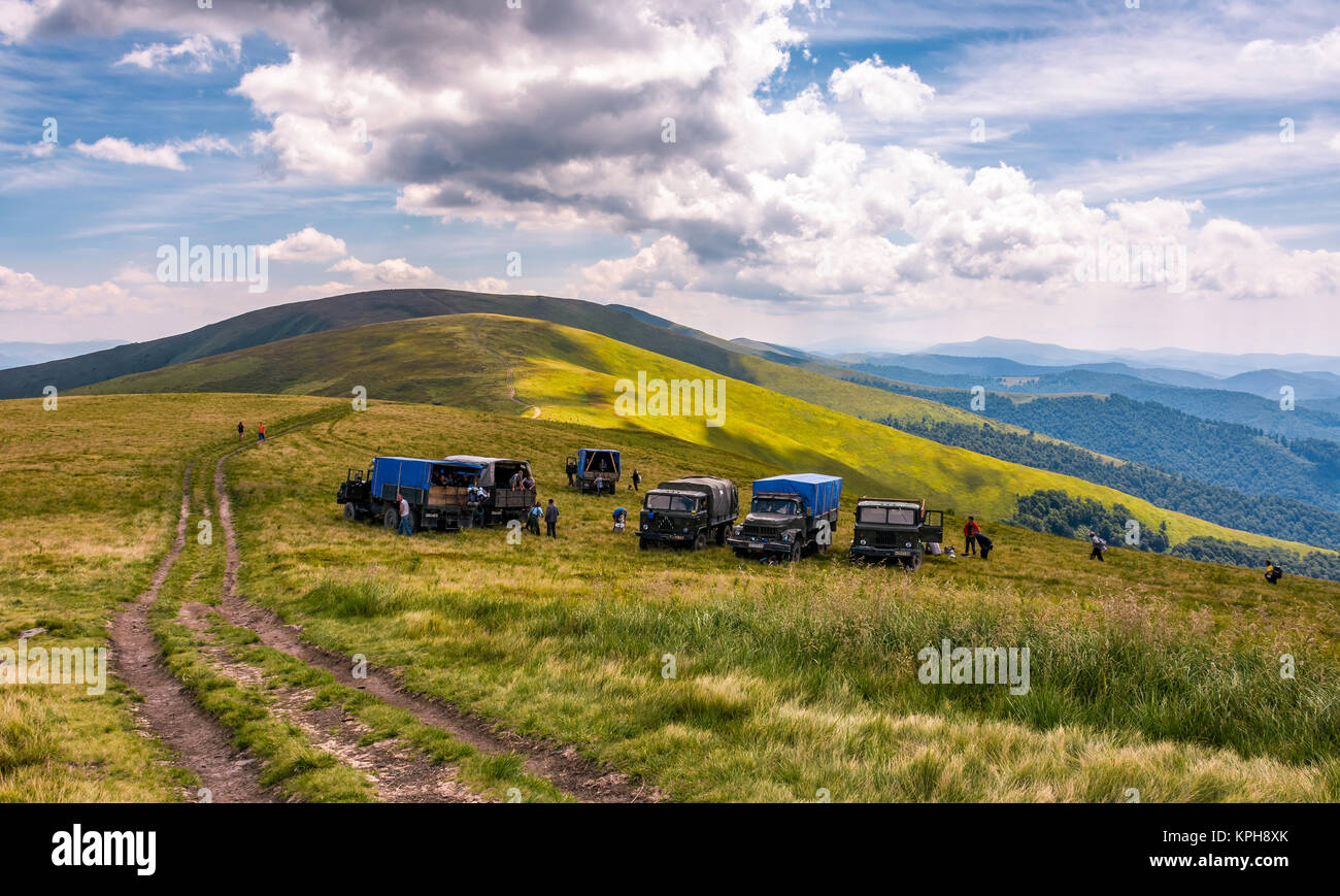 Pylypets, Ukraine - July 23, 2016: blueberry harvesting in Carpathian mountains. location Gymba mountain of Borzhava ridge. hard and exhausting work c Stock Photo