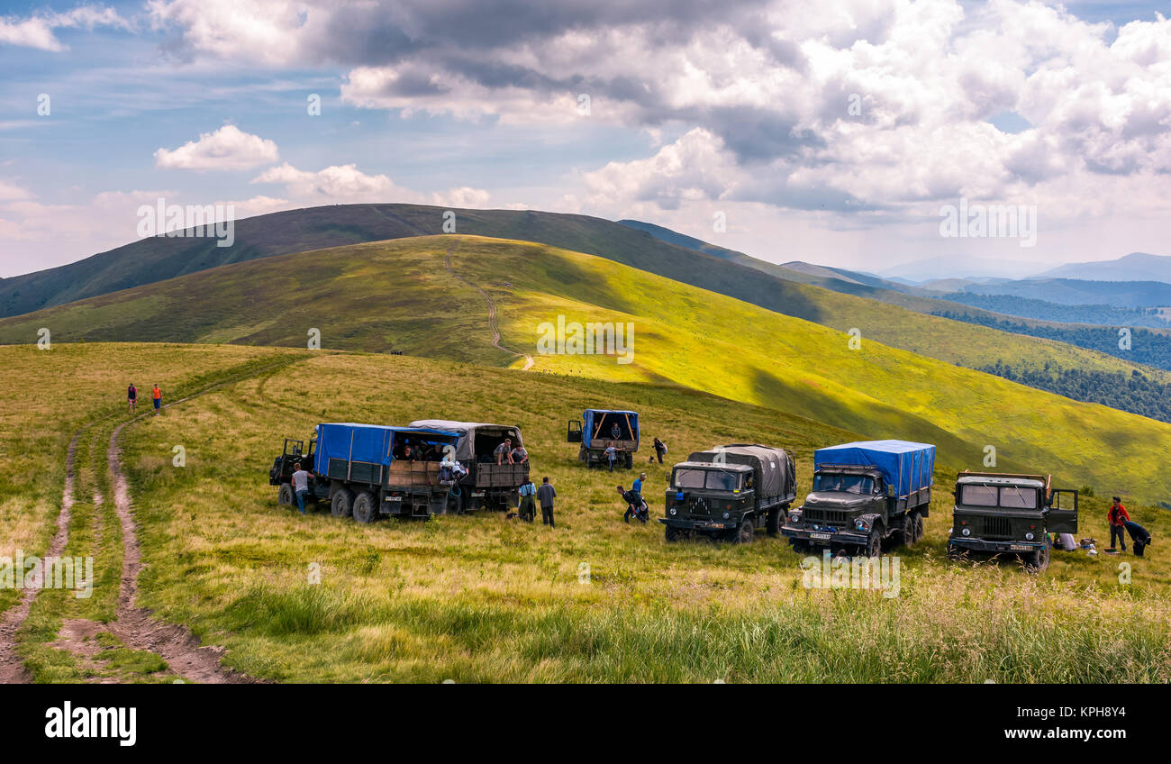 Pylypets, Ukraine - July 23, 2016: blueberry harvesting in Carpathian mountains. location Gymba mountain of Borzhava ridge. hard and exhausting work c Stock Photo