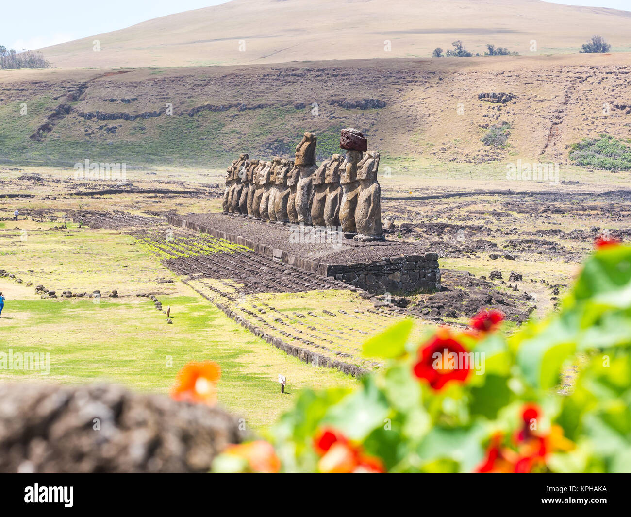 View of the moais of the Ahu Tongariki in a spring Easter Island day Stock Photo