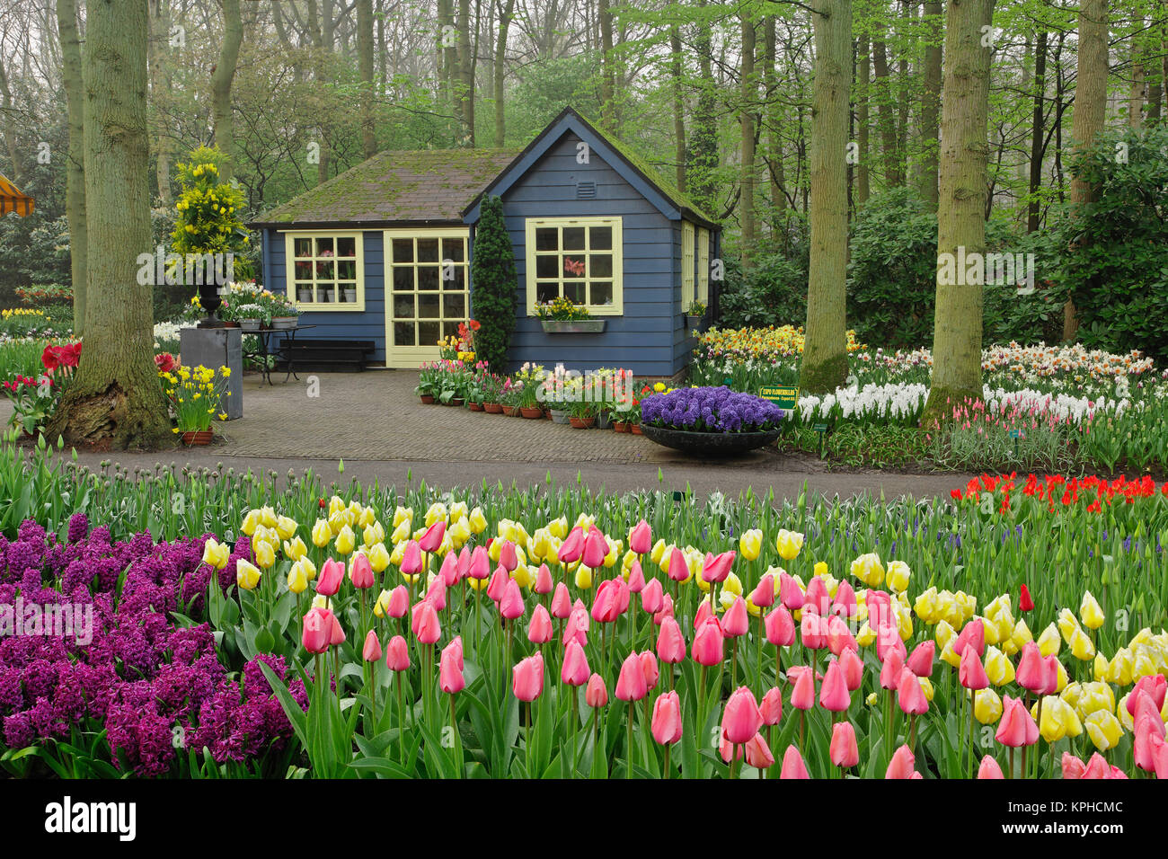 Small Cottage Flower Shop Keukenhof Gardens Lisse Netherlands