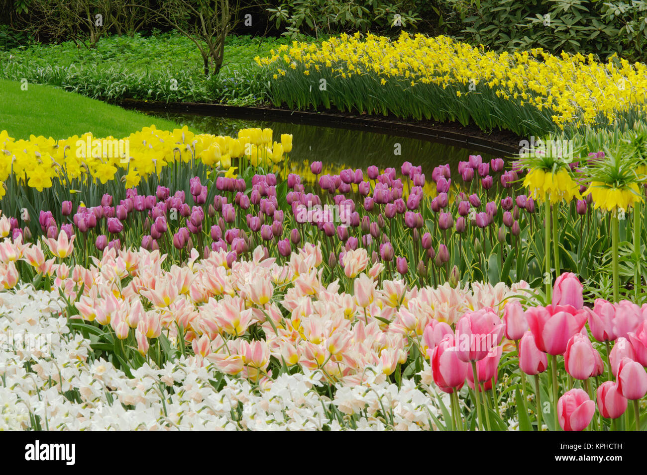 Tulip and daffodil garden, Keukenhof Gardens, Lisse, Netherlands