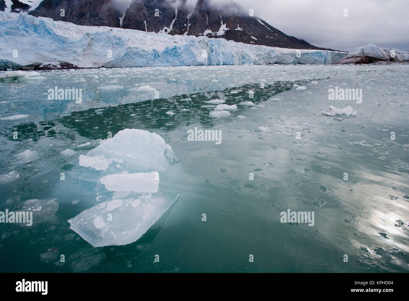 Small ice pieces drifting in fiord near glacier, June, dark and cloudy sky Stock Photo