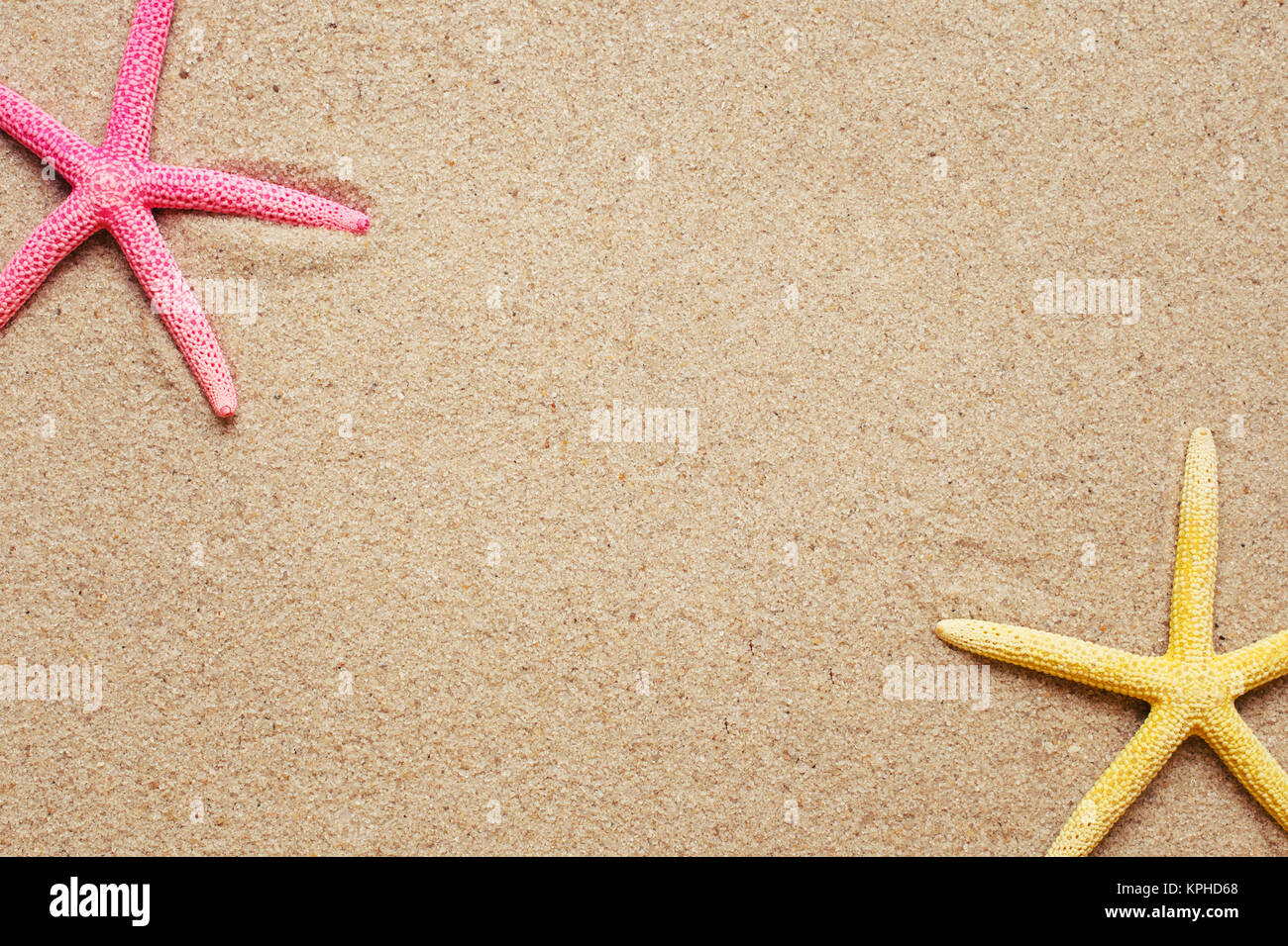 Sea shells on sand.red and yellow Shell Starfish Stock Photo - Alamy