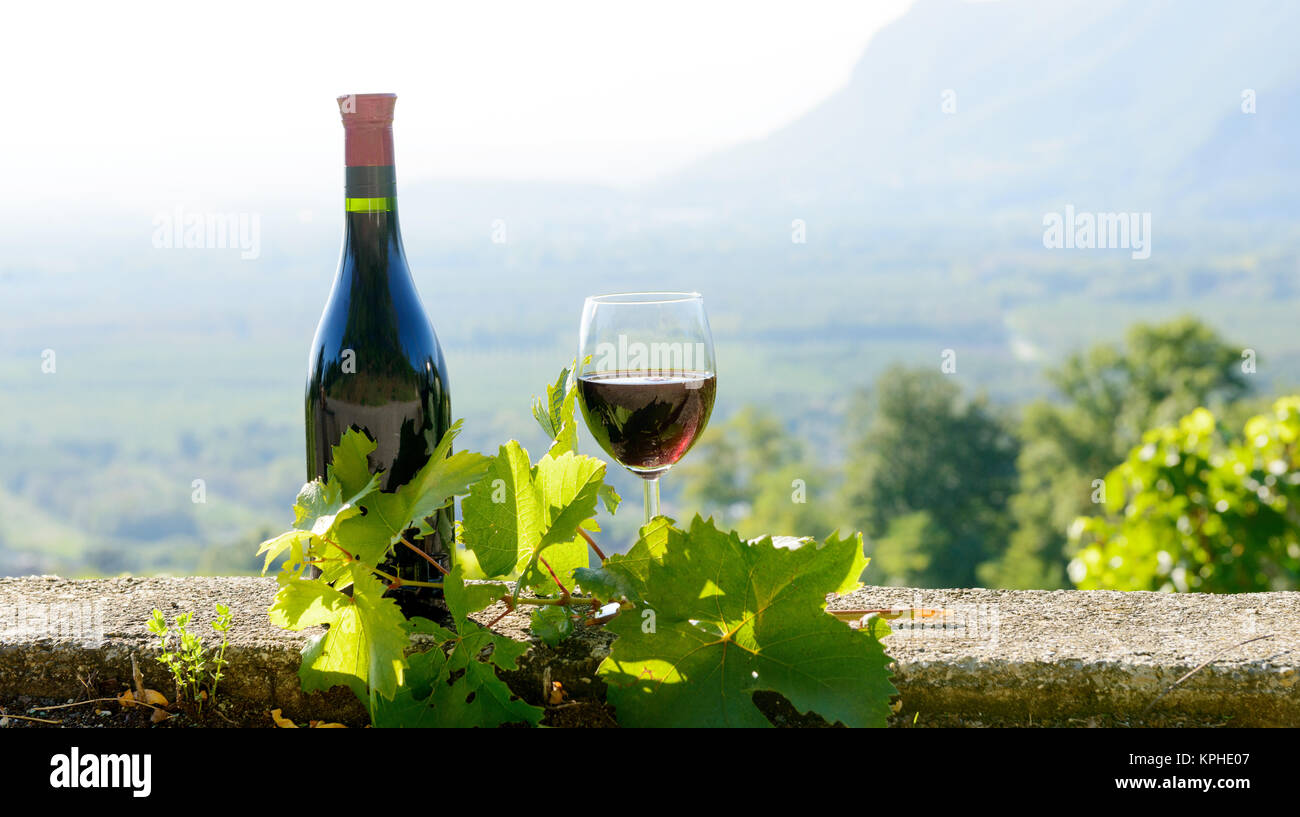 bottle and a glass of red wine, on vineyard background Stock Photo - Alamy