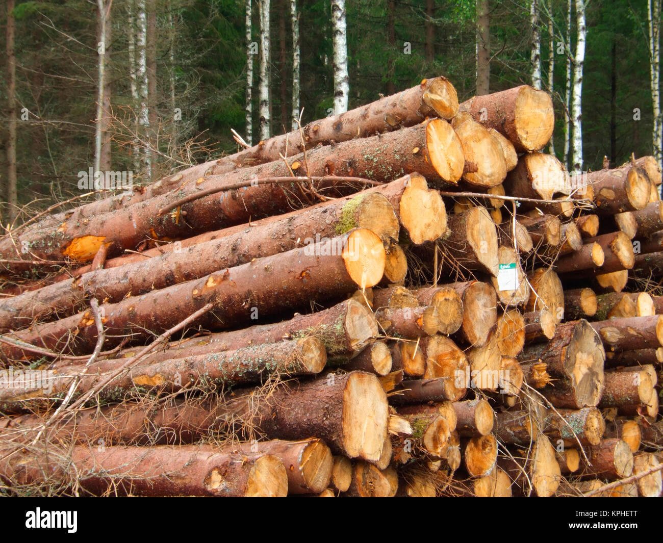 paper logs