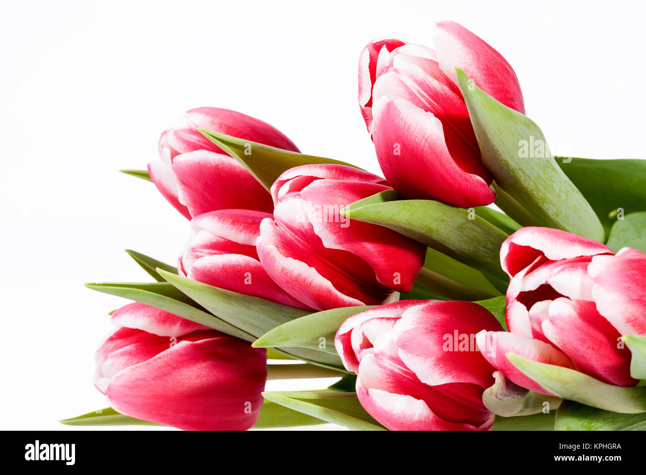 bouquet of red tulips flowers isolated on white background Stock Photo ...