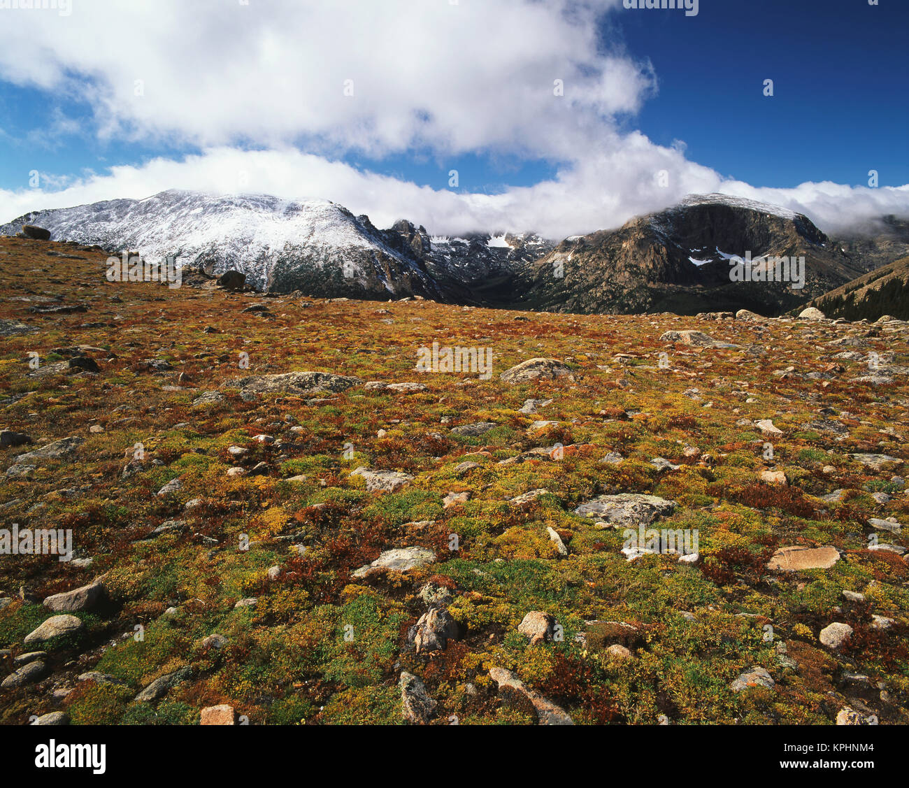 USA, Colorado, Rocky Mountains National Park, Alpine tundra in early ...