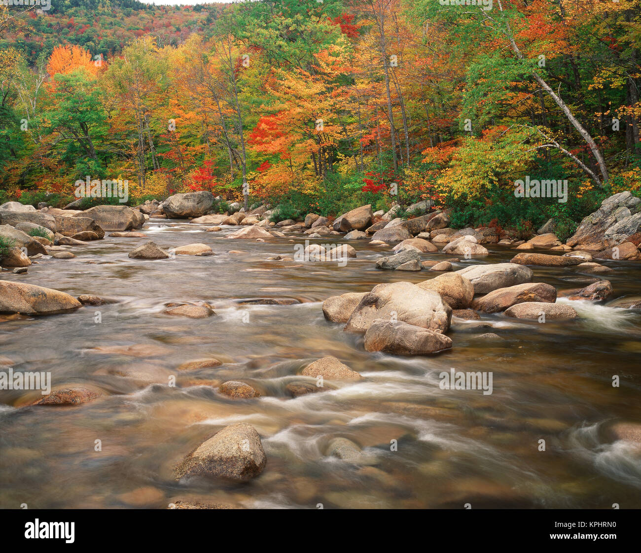White mountains national forest hi-res stock photography and images - Alamy