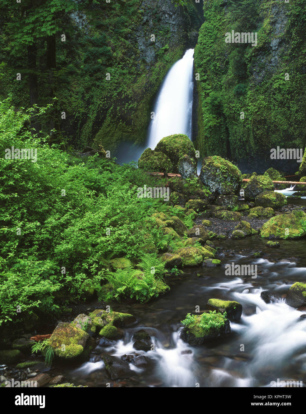 USA Oregon Columbia River Gorge National Scenic Area View Of usa-oregon-columbia-river-gorge-national-scenic-area-view-of