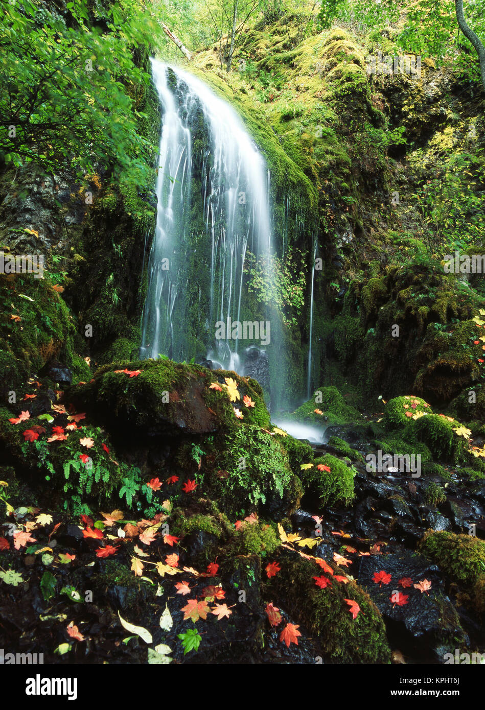 USA, Oregon, Mt hood National Forest, View of waterfall with autumn ...