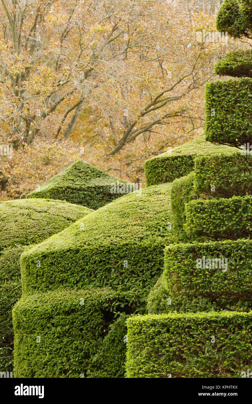 Topiary garden, Longwood Gardens, Pennsylvania Stock Photo